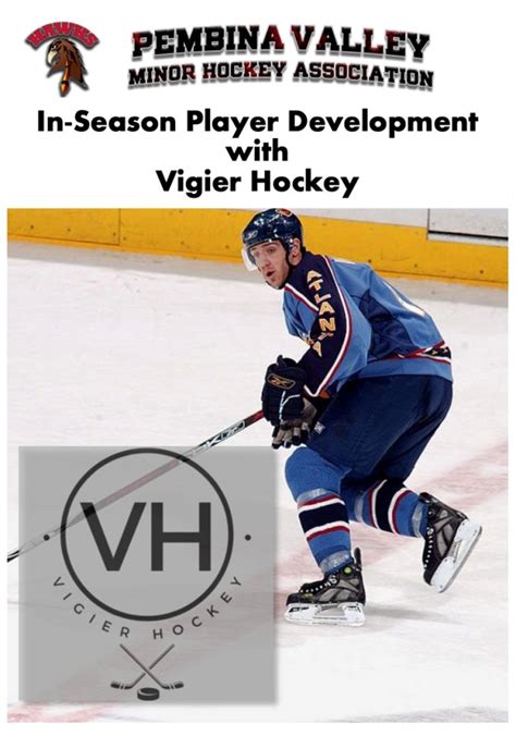 pembina valley minor hockey|pembina valley goalline.